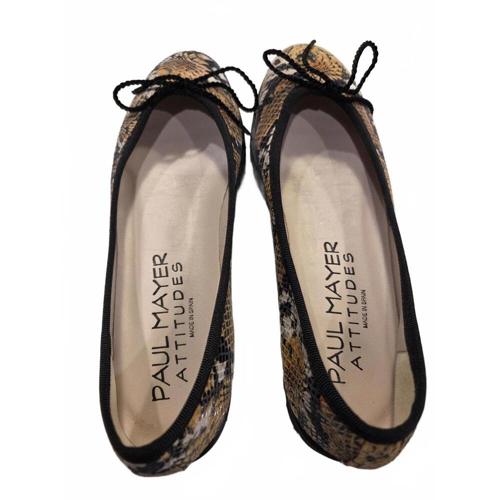 Paul Mayer Attitudes Bravo Lug Sole Ballet Size 7B - NIB - Picture 3 of 6
